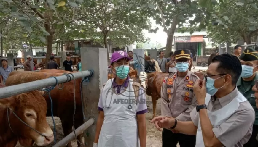 Sidak Pasar Hewan Jelang Idul Adha, Pj Bupati Tulungagung Pastikan Stok Kurban Melimpah dan Sehat