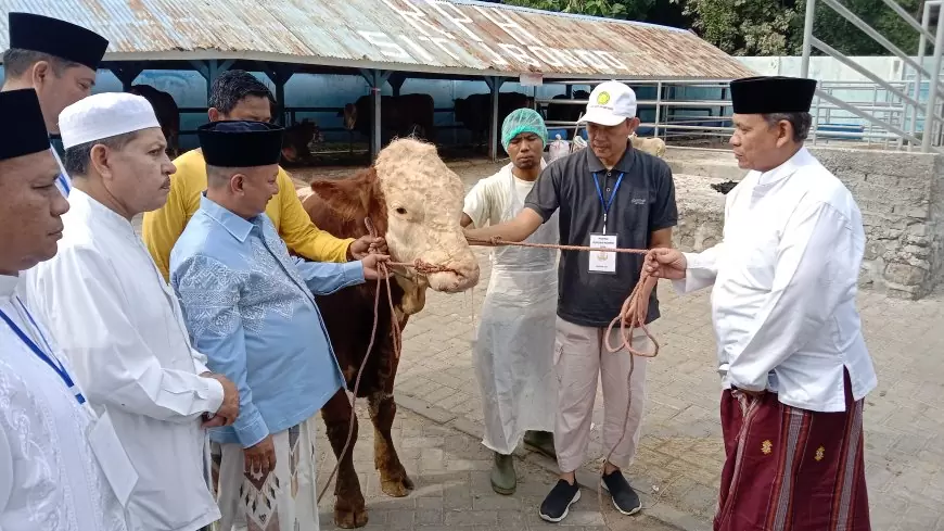 Hari Raya Idhul Adha, Pemkab Situbondo Memotong 41 Ekor Sapi Kurban
