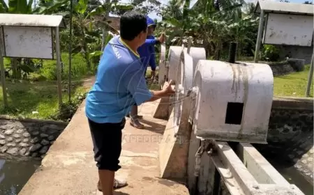 Penjaga Pintu Air DPU Pengairan Pahlawan Tersembunyi di Balik Kesuburan Sawah Banyuwangi