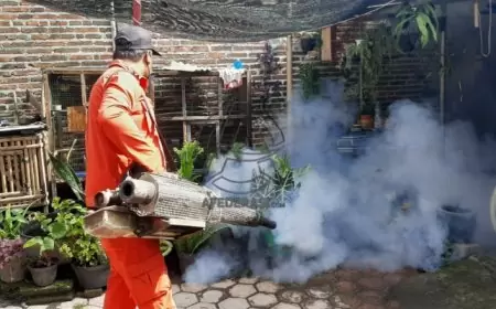 Kasus Demam Berdarah di Tulungagung Capai Ribuan, Waspada Belasan Orang Dilaporkan Meninggal