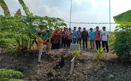 Manfaatkan Sumur Bor Tenaga listrik PLN Nusantara Power 