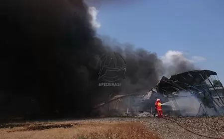 Diduga Korsleting Arus listrik, Kandang Ayam Broiler Ratusan Meter di Ngunut Ludes Terbakar