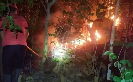 Kebakaran Melanda Hutan Bukit Jaas di Trenggalek, Dua Hektar Lahan Terbakar