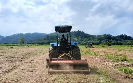 PTPN I Regional 5 Kebun Kalitelepak Gunakan Mesin Trash Mulcher Tingkatkan Kesuburan Tanah dan Produktivitas Tebu