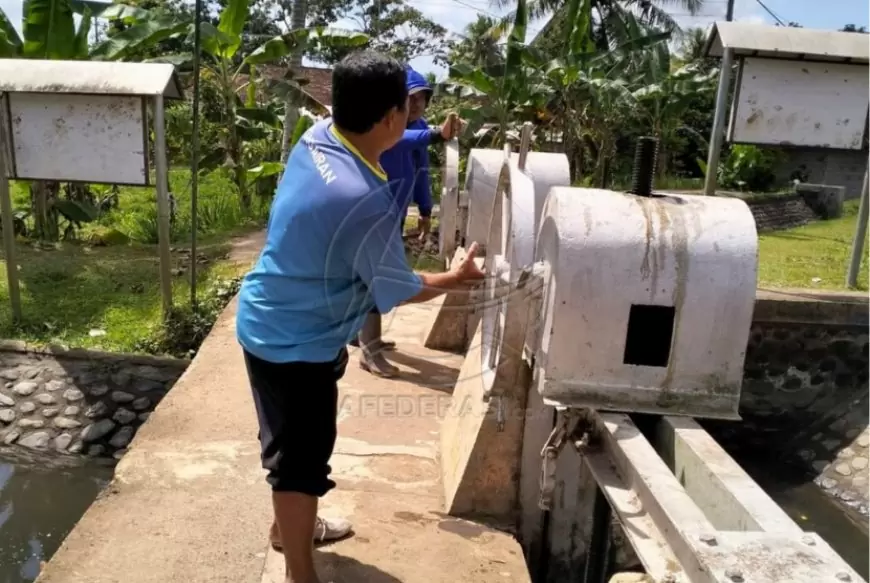Penjaga Pintu Air DPU Pengairan Pahlawan Tersembunyi di Balik Kesuburan Sawah Banyuwangi