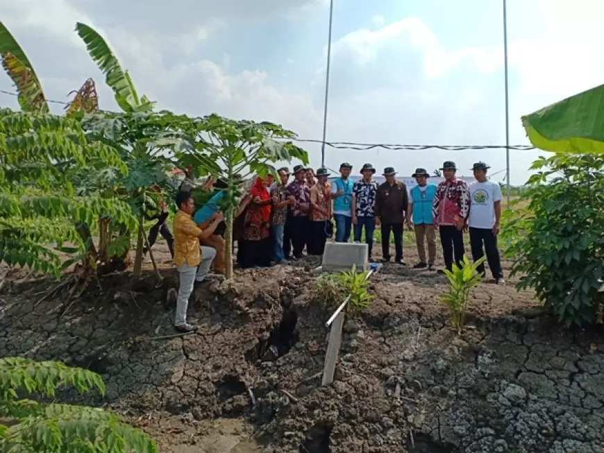 Manfaatkan Sumur Bor Tenaga listrik PLN Nusantara Power 