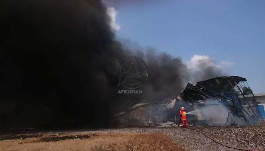 Diduga Korsleting Arus listrik, Kandang Ayam Broiler Ratusan Meter di Ngunut Ludes Terbakar