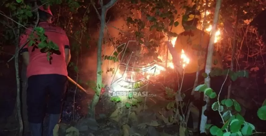 Kebakaran Melanda Hutan Bukit Jaas di Trenggalek, Dua Hektar Lahan Terbakar