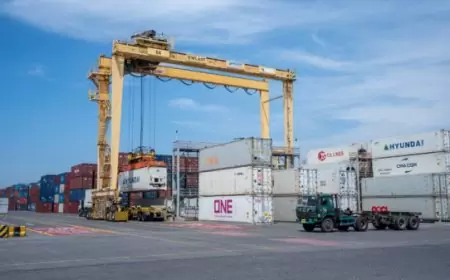 Arus Petikemas TPS Naik Lebih Dari 10%