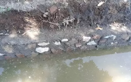 DPRD Jatim Soroti Proyek APBD Jatim Tanpa Papan Nama Proyek di Jember