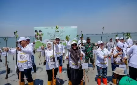 Tanam Ratusan Ribu Mangrove, Pertahankan Gresik Hijau di Tengah Pesatnya Industfialisasi