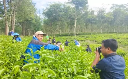 PTPN I Regional 5 Gandeng PFI Tingkatkan Skill Admin Medsos