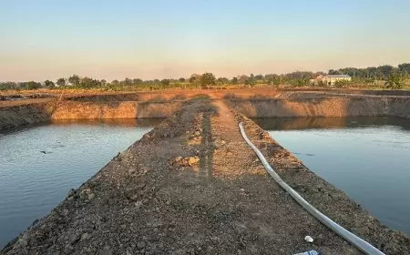 Inovasi Pemdes Sidoraharjo Gresik, Manfaatkan Tanah Kas Desa Menjadi Tambak Produktif