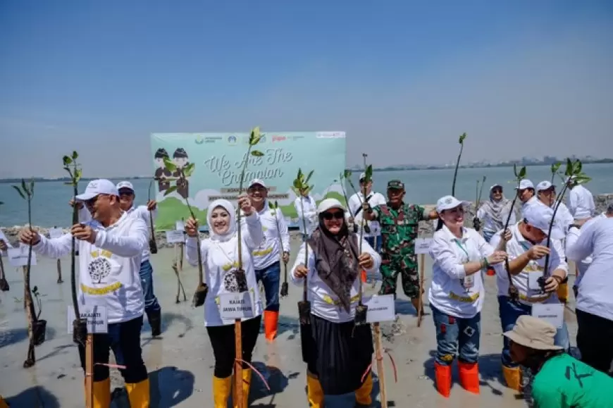 Tanam Ratusan Ribu Mangrove, Pertahankan Gresik Hijau di Tengah Pesatnya Industfialisasi