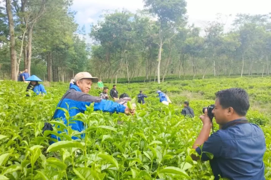 PTPN I Regional 5 Gandeng PFI Tingkatkan Skill Admin Medsos