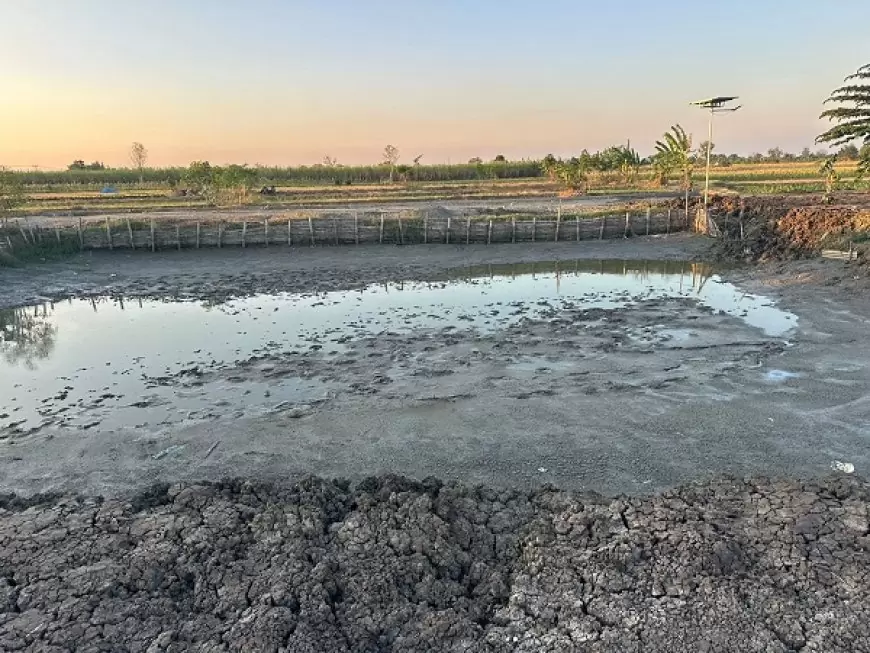 Inovasi Pemdes Sidoraharjo Gresik, Manfaatkan Tanah Kas Desa Menjadi Tambak Produktif