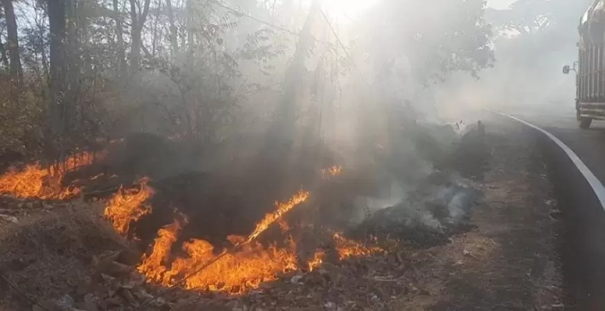 Kebakaran di Taman Nasional Baluran, Asap Tebal Tutup Jalur Pantura Situbondo