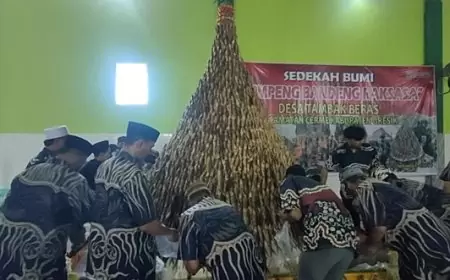 Lestarikan Budaya Leluhur, Warga Tambak Beras  Buat Tumpeng Raksasa dari 2500 Ikan Bandeng Bakar