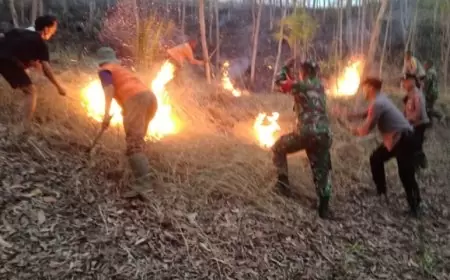 Hutan Petak 104 RPH Durenan Trenggalek Terbakar