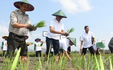 Gerakan Percepatan Tanam Padi di Tulungagung, Upaya Strategis Hadapi Krisis Pangan