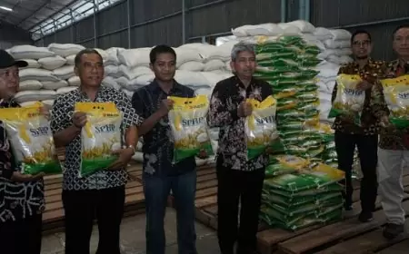 Tinjau Gudang Bulog, Sekda Edy Soepriyanto : Stok Beras Trenggalek Aman hingga Akhir Tahun