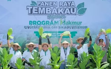 Program Makmur Petrokimia Gresik Angkat Pendapatan 166 Petani se Indonesia 