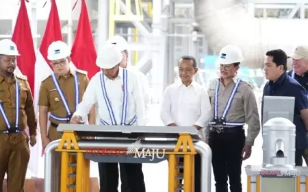 Presiden Joko Widodo Resmikan Produksi Smelter Tambang Tembaga PT Freeport Indonesia