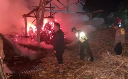 Kebakaran Landa Penggilingan Tebu di Trenggalek, Kerugian Capai Rp 50 Juta