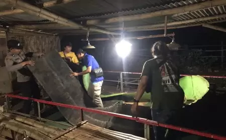 Grebek Kalangan Judi Sabung Ayam, Diduga Bocor Pelaku Melarikan Diri