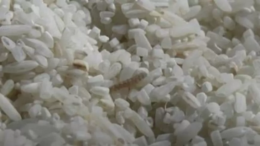 Dugaan Mark up Bantuan Beras CSR Tak Layak Konsumsi,  Kejari Gresik Periksa 8 Orang