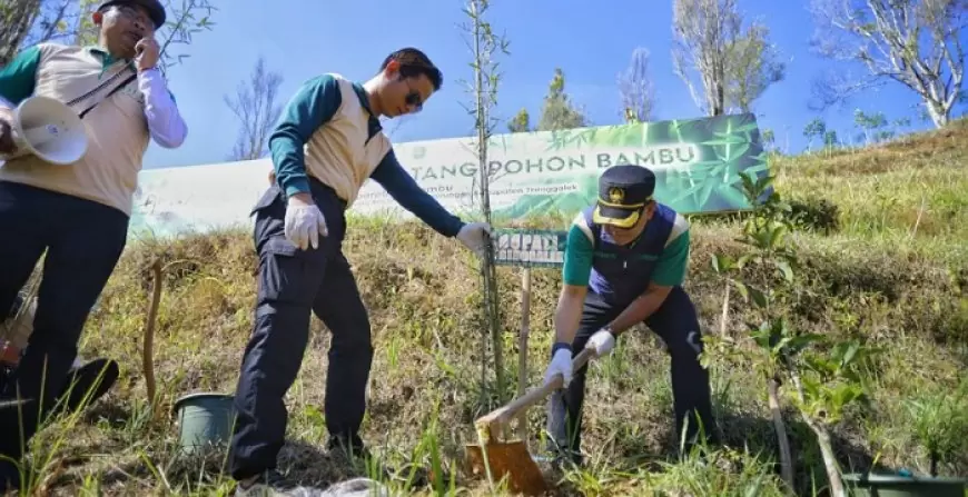 Bupati Trenggalek Apresiasi Inisiatif Penanaman Bambu di Wisata Dilem Wilis