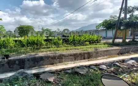Kantor Pertanahan Banyuwangi Benarkan SHM 1620 Tercatat