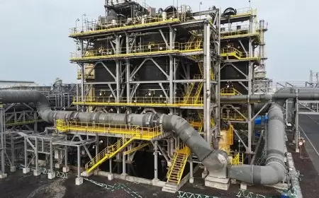 Kebakaran Smelter Freeport, Toni Wenas: Sudah Teratasi Sepenuhnya dan Akan Investigasi Penyebabnya