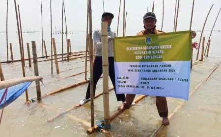 Dua unit branjang atau rumpon yang dibangun Pemdes Racitengah Sidayu Gresik bagi para nelayan