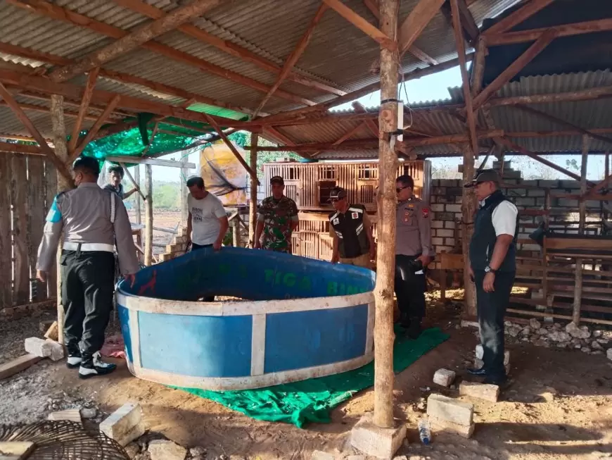 Operasi Tim Gabungan Kembali Grebek  Judi Sabung Ayam di Panceng Gresik, Arena Tarung Ayam Dimusnahkan