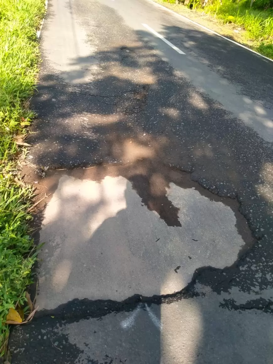 Masyarakat di Jember Keluhkan Jalan Rusak