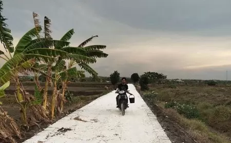 Bangun Jalan Usaha Tani, Upaya Pemdes Pegundan Gresik Dukung Ketahanan Pangan