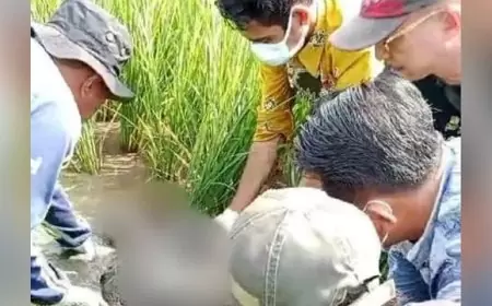 Geger Mayat Pria Ditemukan Terkubur Lumpur di Areal Persawahan, Diduga Karena ini