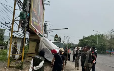 Masa Tenang, Ribuan APK yang Masih Terpasang Dibongkar Tim Gabungan Bawaslu Gresik