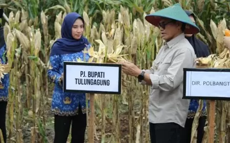 Dorong Pertanian Maju, Pemkab Tulungagung Serahkan Hibah Kompetitif Rp650 Juta untuk Wirausahawan Muda