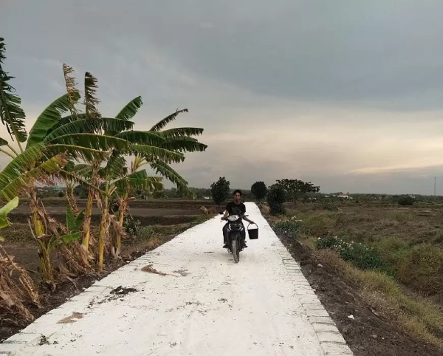 Bangun Jalan Usaha Tani, Upaya Pemdes Pegundan Gresik Dukung Ketahanan Pangan
