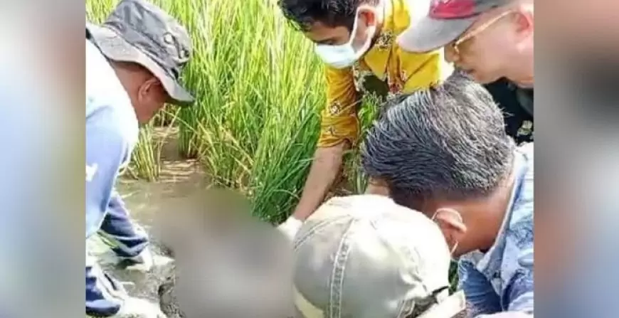Geger Mayat Pria Ditemukan Terkubur Lumpur di Areal Persawahan, Diduga Karena ini