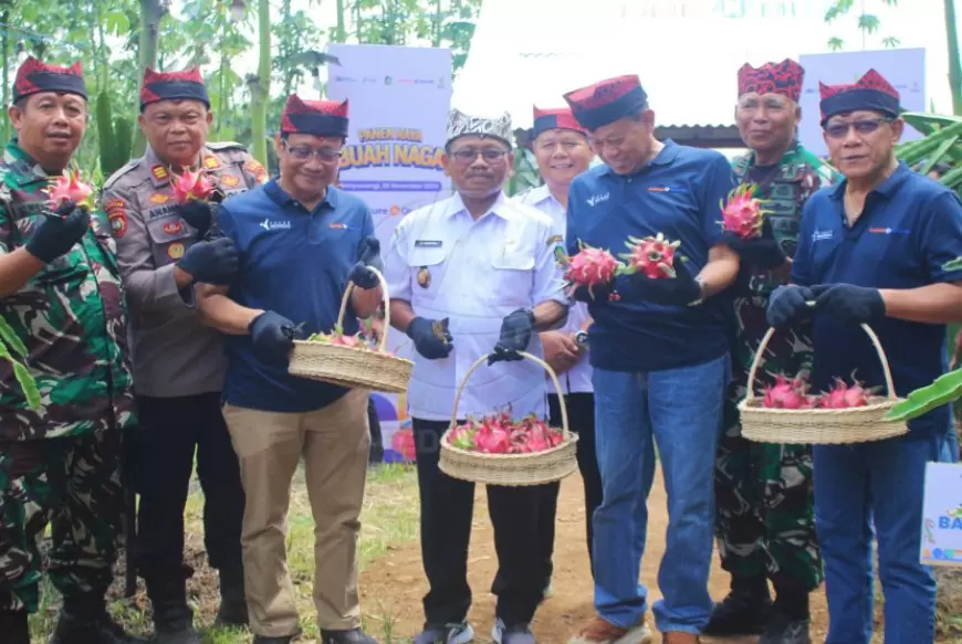 Program Agrosolution Solusi Cerdas Tingkatkan Kesejahteraan Petani Naga Banyuwangi