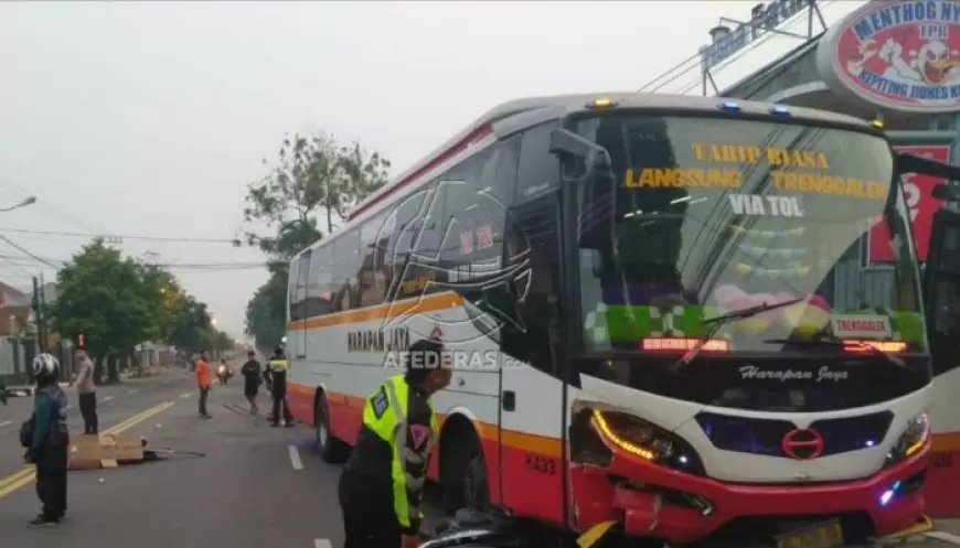 Sepanjang Tahun 2024, Kecelakaan Libatkan PO Bus Capai 10 Kasus, Berikut Rinciannya