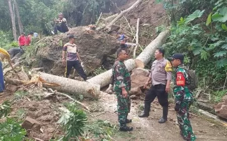 Longsor di Trenggalek, Akses Jalan Desa Tertutup Total