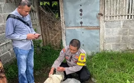 Penemuan Jasad Bayi Hebohkan Warga  Jember