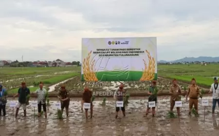 Sinergi Polres Tulungagung dan PT Wilmar, Targetkan Panen Padi Naik 50 Persen