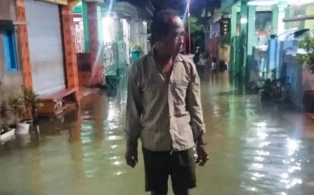Atasi Banjir Rob di Pesisir Laut Utara, Pemdes Banyuwangi Gresik Akan Bangun Dam