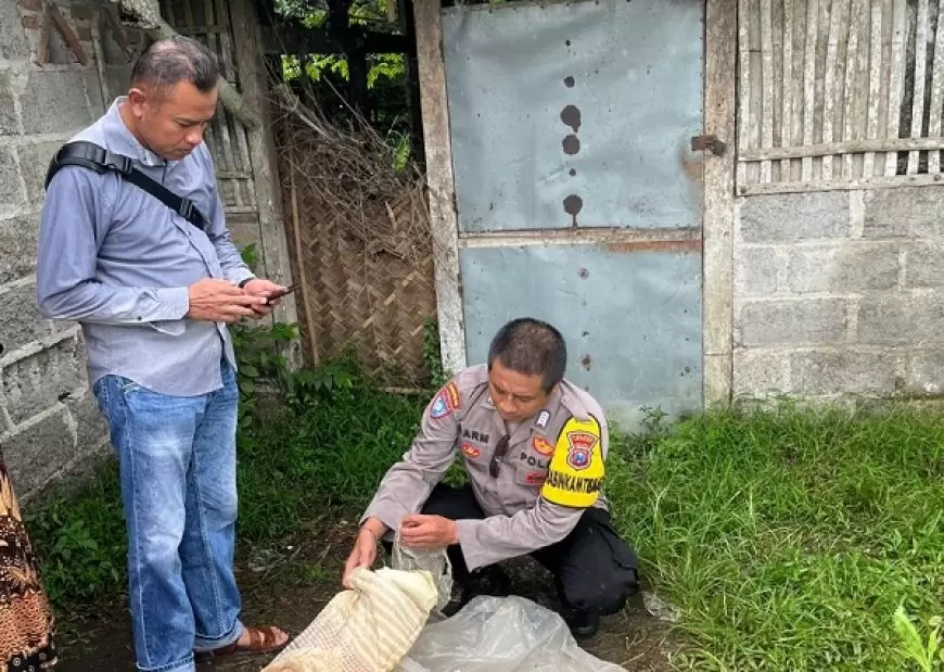 Penemuan Jasad Bayi Hebohkan Warga  Jember