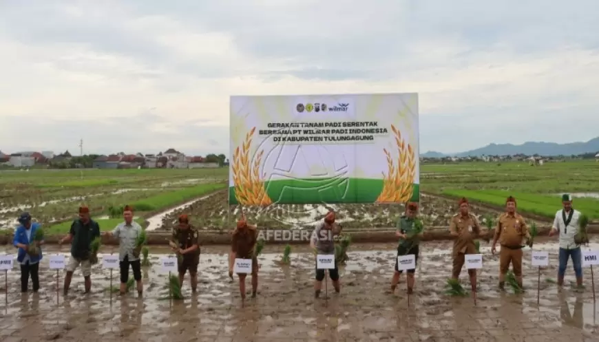 Sinergi Polres Tulungagung dan PT Wilmar, Targetkan Panen Padi Naik 50 Persen